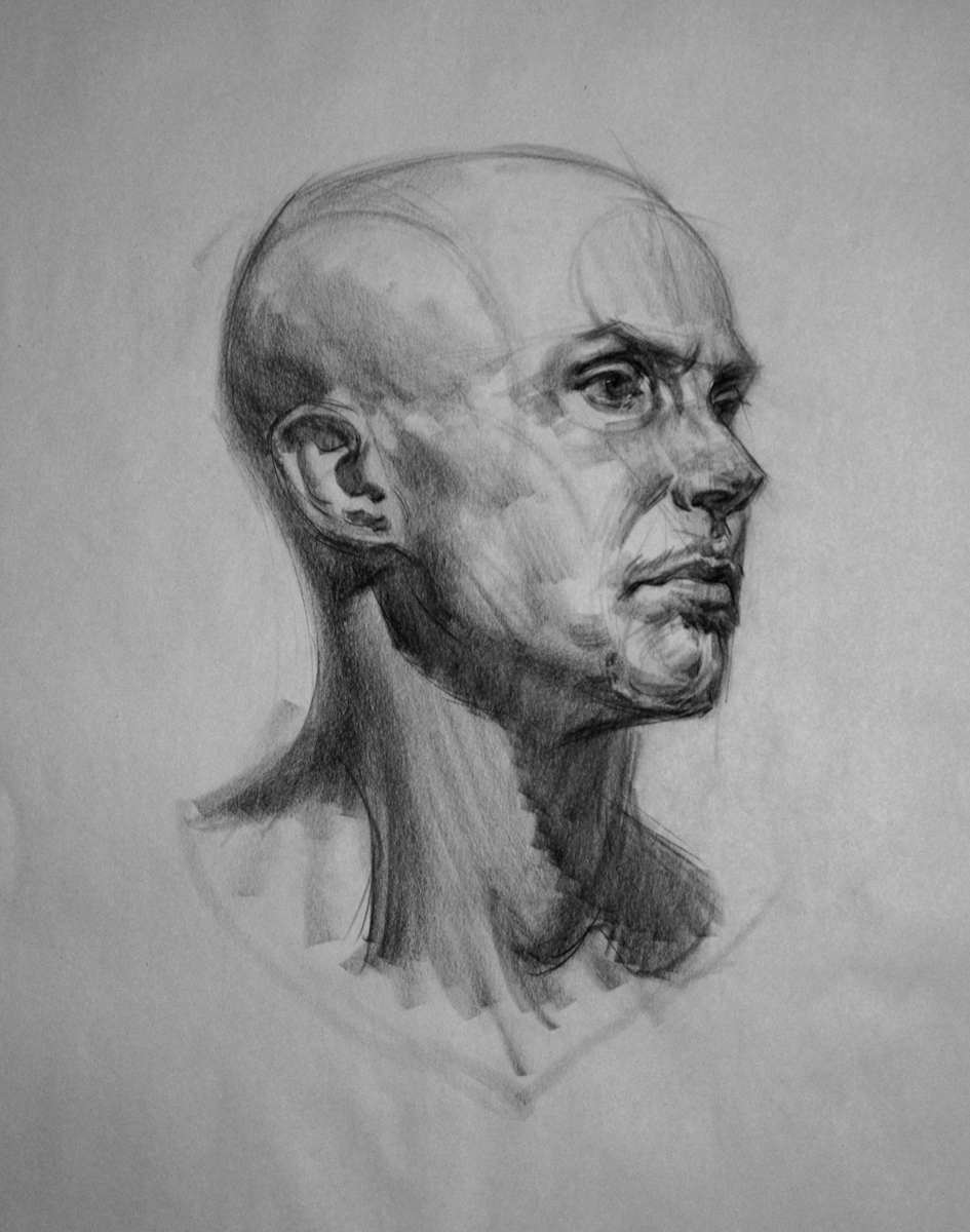Рисунок голова сократа